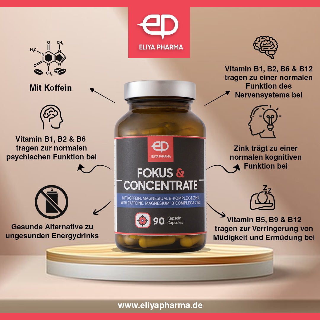 Fokus & Concentrate